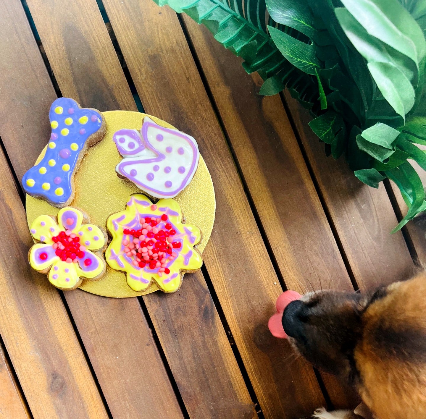 Springy Liver Cookies