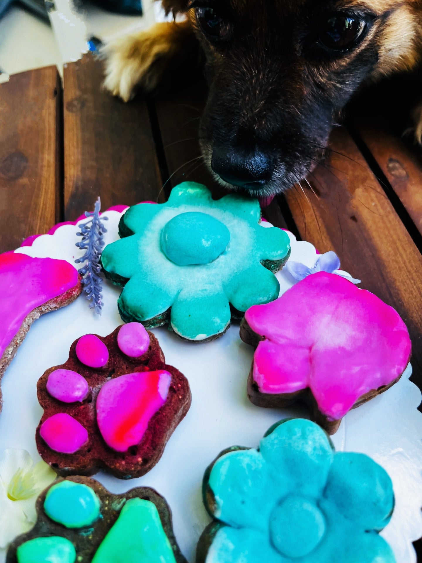 Springy Liver Cookies