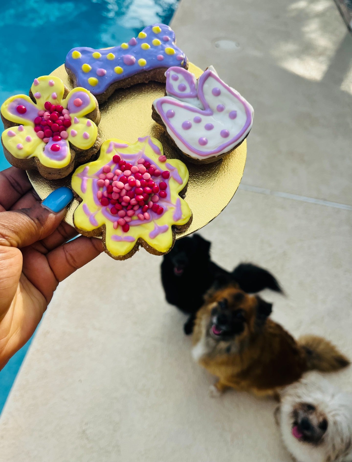 Springy Liver Cookies